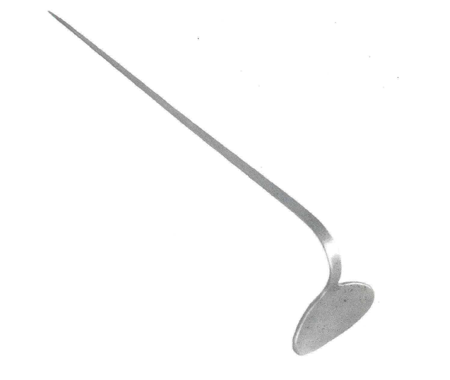 LARİNKS MİKRO PORTEKÜ